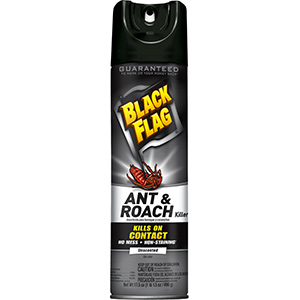 Black Flag Ant and Roach Killer 17.5 oz Aerosol