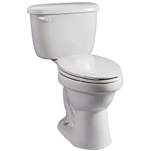 Briggs 1.28 GPF ADA Elongated Complete Toilet White
