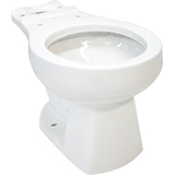 Toilet Bowl
