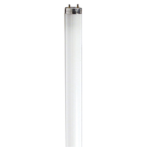 F17T8CW Fluorescent Linear Replacement Tube 24"