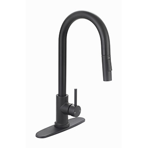 Castille Single Handle Pull-Down Kitchen Faucet, Matte Black